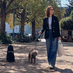 15 歳、13 歳、8 歳の3 匹の犬と暮らす日々。