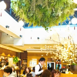 表参道駅近くにあるイタリア料理の名店「TRATTORIA庭」店内