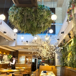 表参道駅近くにあるイタリア料理の名店「TRATTORIA庭」の店内