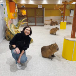 動物カフェへ