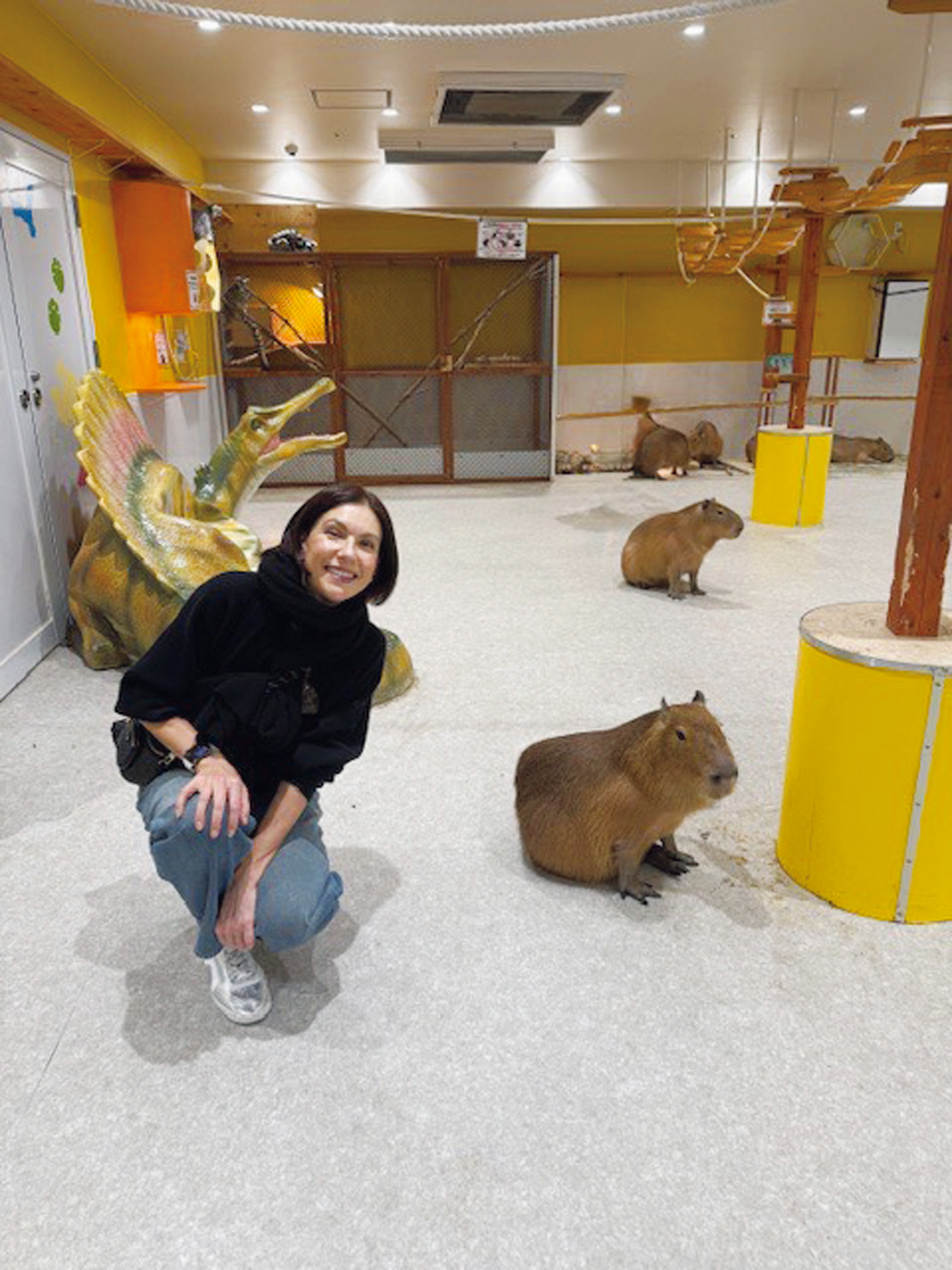 動物カフェへ