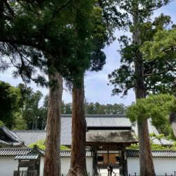 鈴木恵さん6月ブログ⑩