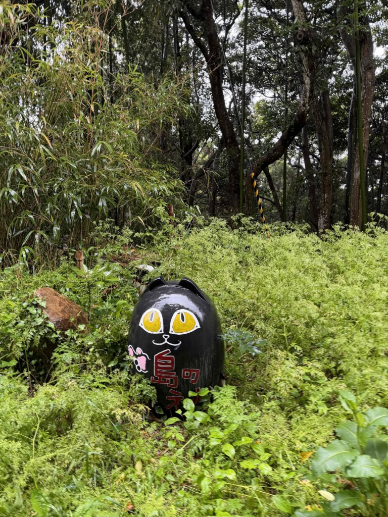 鈴木恵さん6月ブログ③