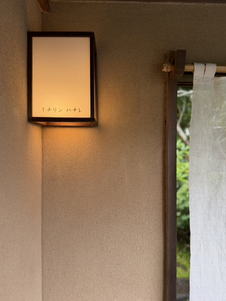 豊田さん6月ブログ④