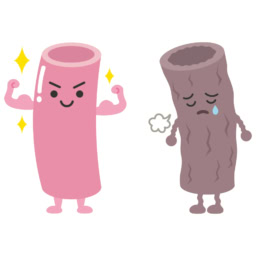 血管も老化する！？