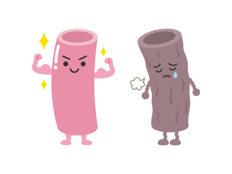 血管も老化する!?