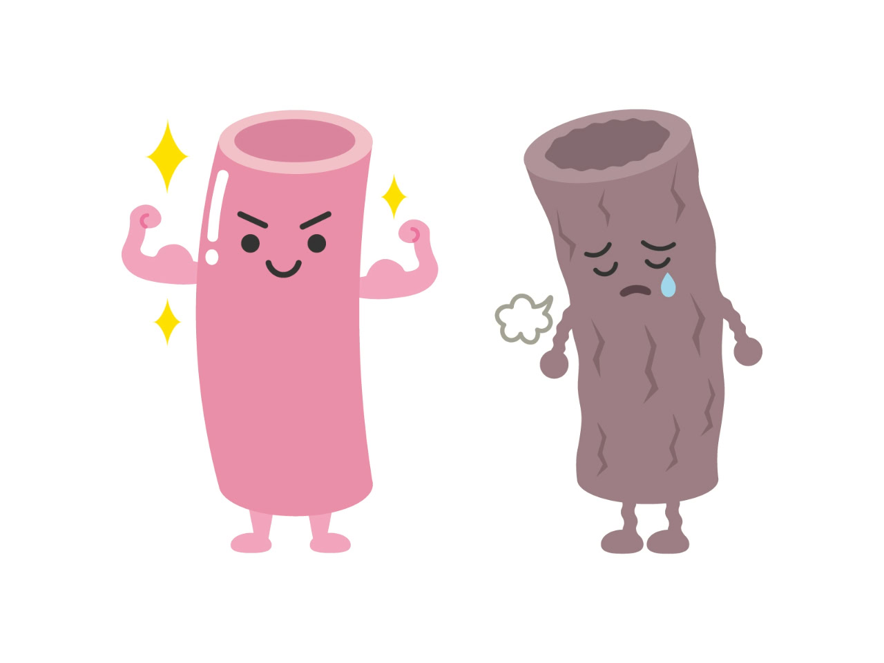 血管も老化する！？