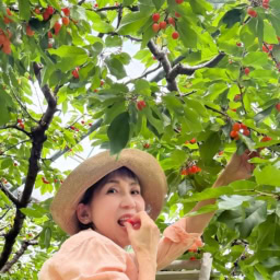 山梨でさくらんぼ狩り