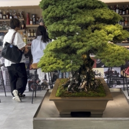 「PANAMERICANA BAR MUSIUM」