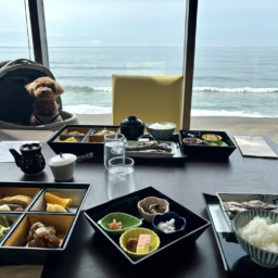 レジーナリゾート鴨川のお食事