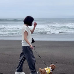 レジーナリゾート鴨川の目の前のビーチでお散歩