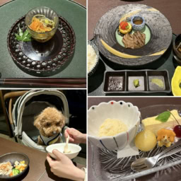レジーナリゾート鴨川のお食事
