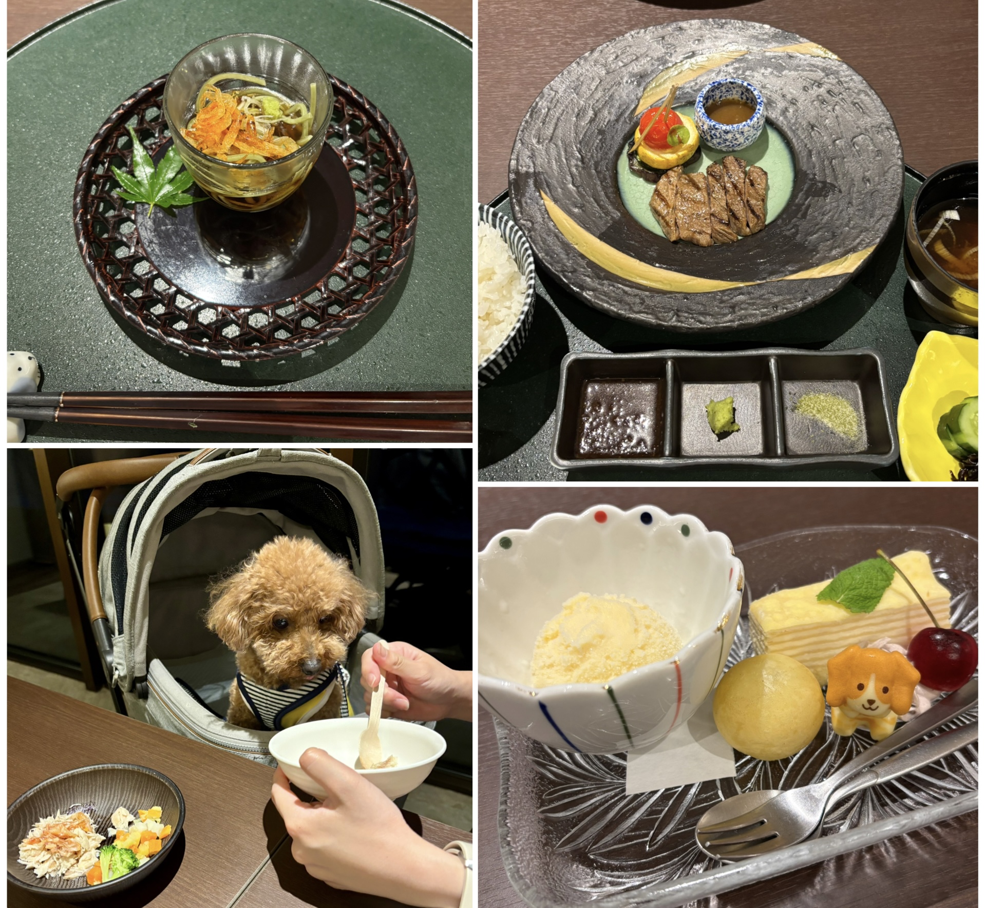 レジーナリゾート鴨川のお食事