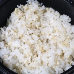 ダイソー　「電子レンジ調理器　ご飯一合炊き」　￥110（税込）で炊いたもち麦ご飯