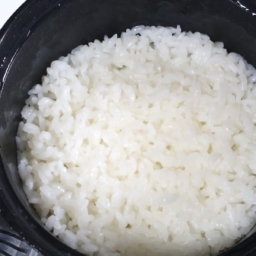 ダイソー　「電子レンジ調理器　ご飯一合炊き」　￥110（税込）のお米の炊きあがり