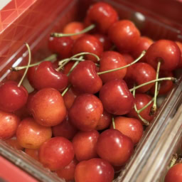 山形のさくらんぼ「紅秀峰」