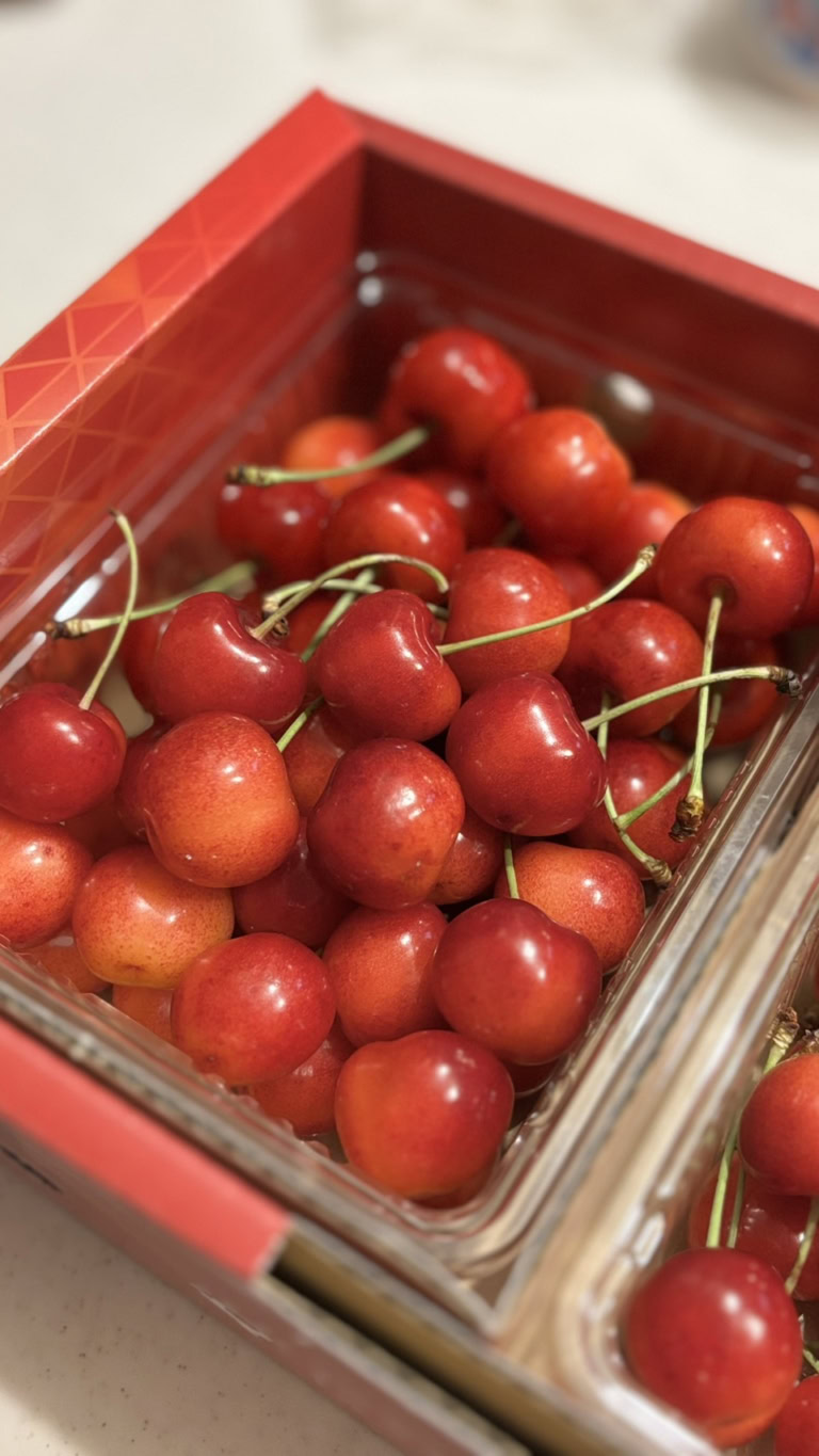 山形のさくらんぼ「紅秀峰」