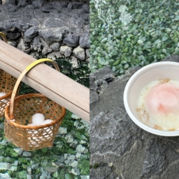 「草津ガラス蔵１号館」の温泉たまご専用の温泉