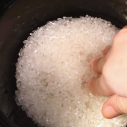 ダイソー　「電子レンジ調理器　ご飯一合炊き」　￥110（税込）でお米を研ぐ