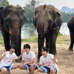 佐藤三兄弟は現在、タイの観光大使としても活躍中