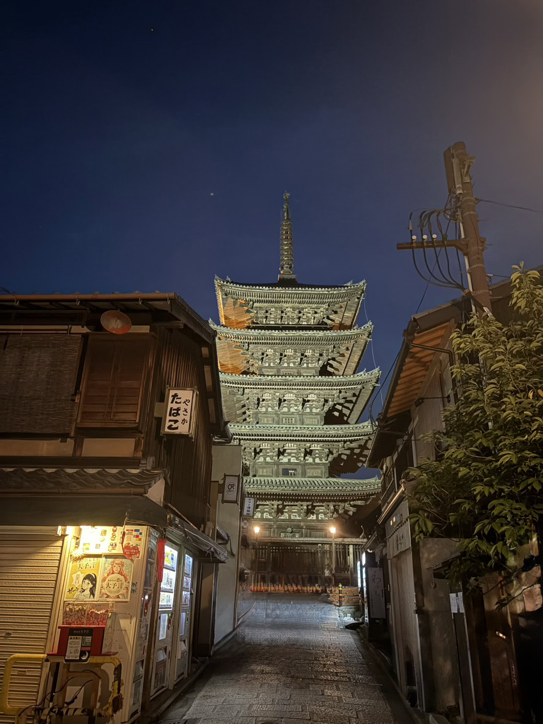 有村さん京都⑧