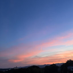 ピンクの夕焼け