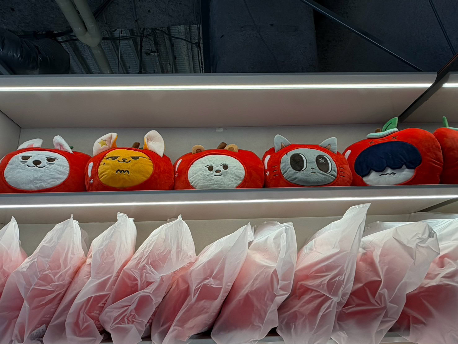 FACE CUSHION　各￥4,600
