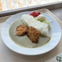 立山黒部アルペンルート　黒部ダム　カレー