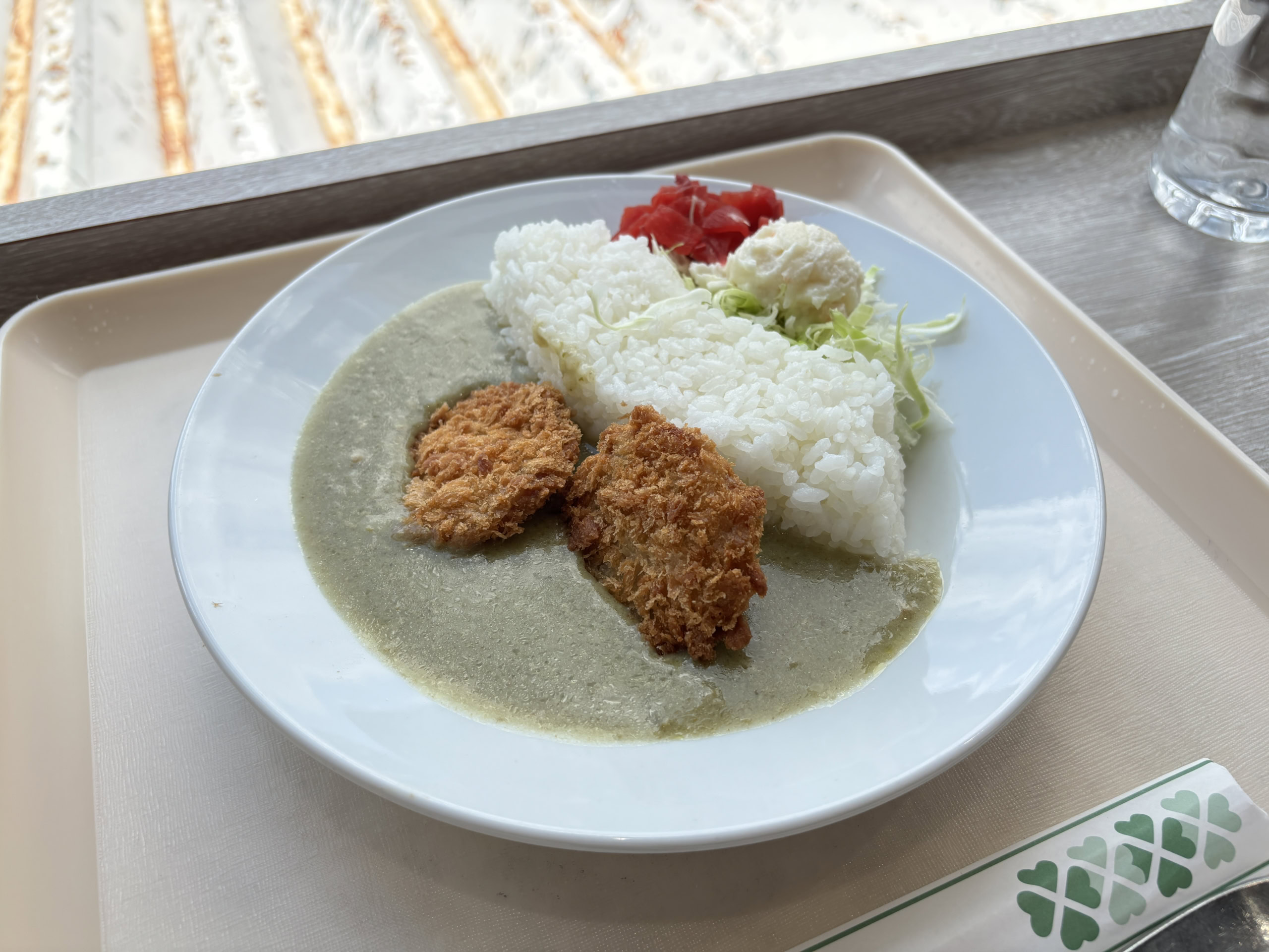 立山黒部アルペンルート　黒部ダム　カレー