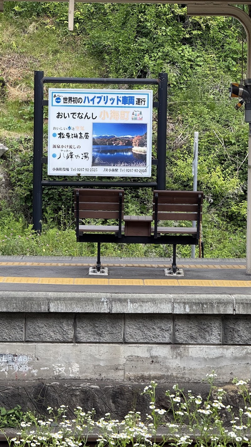 小淵沢駅と小諸駅を結ぶ・非電化のローカル線です。