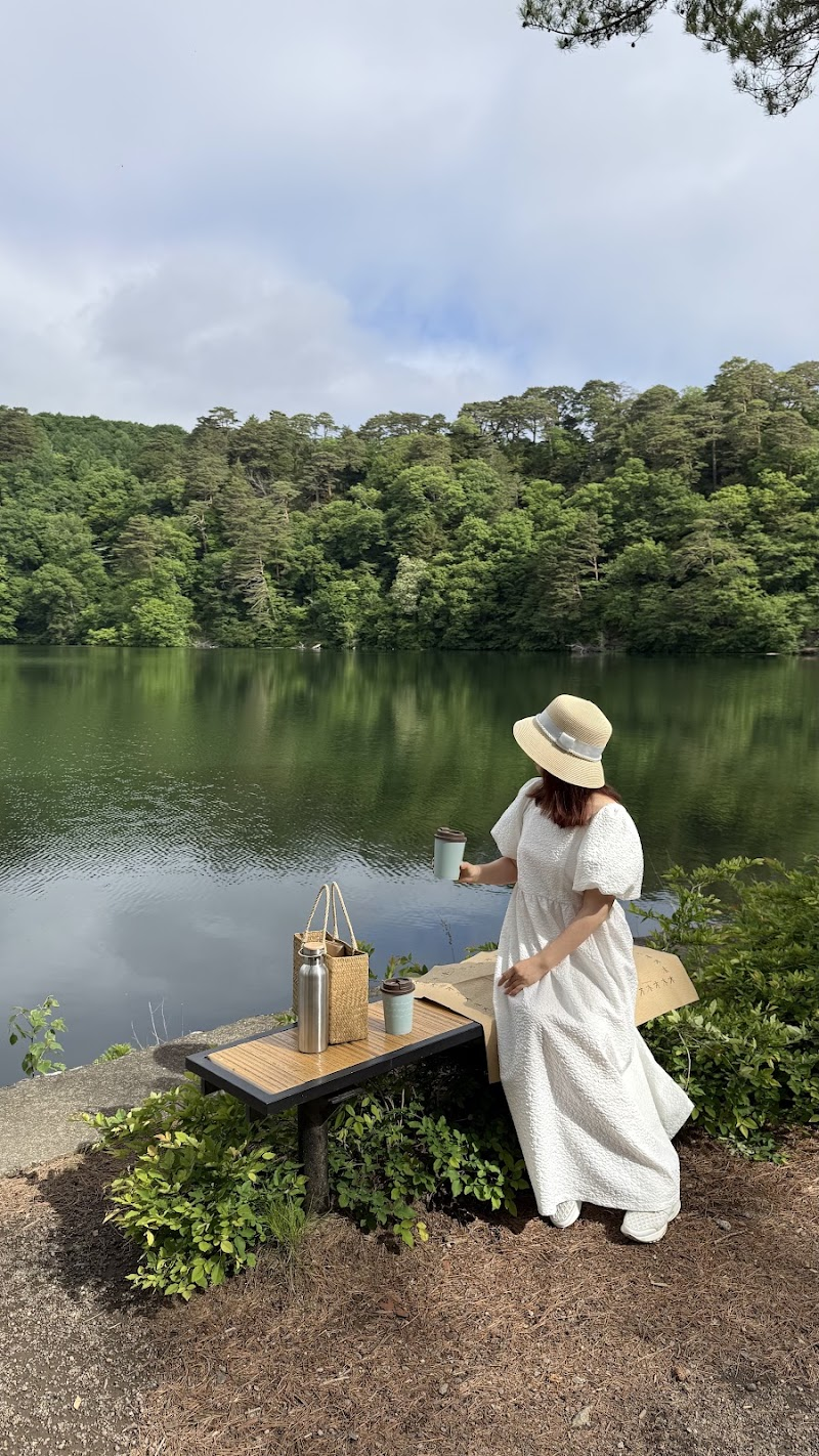 対岸にどうやらカエルがたくさんいるらしい。