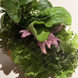 地どれ野菜が、葉っぱのブーケに。そのまま手に持ってかぶりつきます！