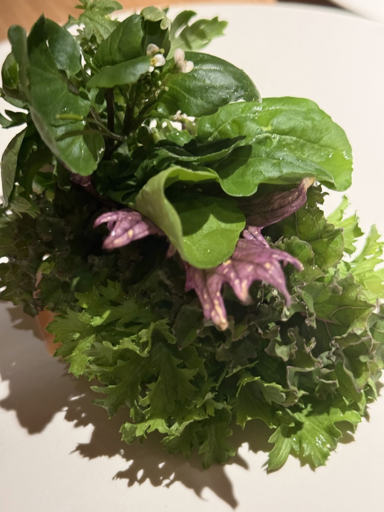 地どれ野菜が、葉っぱのブーケに。そのまま手に持ってかぶりつきます!