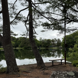 松原湖の景色。小ぶりな湖の周りは森。歩くごとに、景色が変わります。