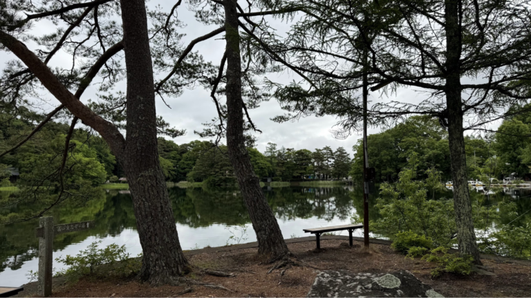 松原湖の景色。小ぶりな湖の周りは森。歩くごとに、景色が変わります。