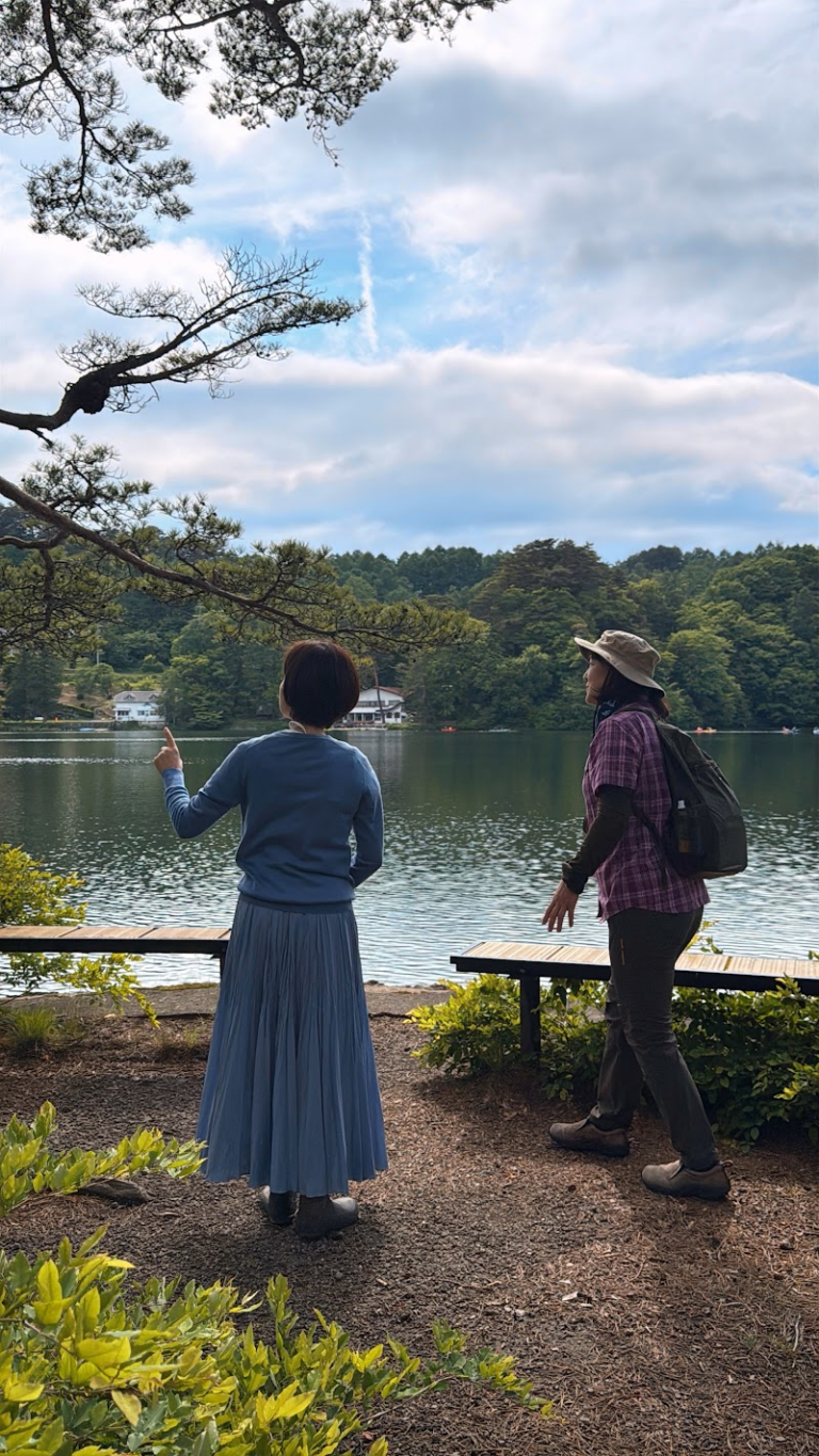 どこを散歩したらいいのか、何が周囲にあるのかがわかります。