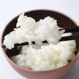 ダイソー　「電子レンジ調理器　ご飯一合炊き」　￥110