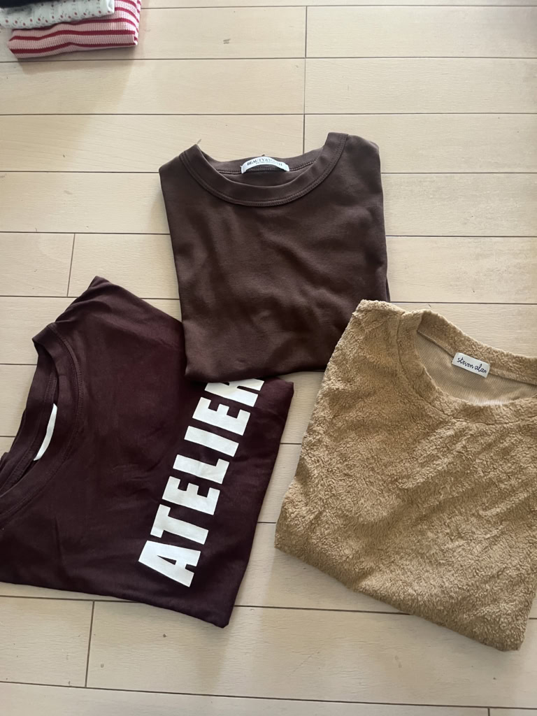 秋色ブラウンの半袖Tシャツ。 右は「スティーブンアラン」、ロゴTは「H&M」、中央上は「ユナイテッドアローズ」のもの。