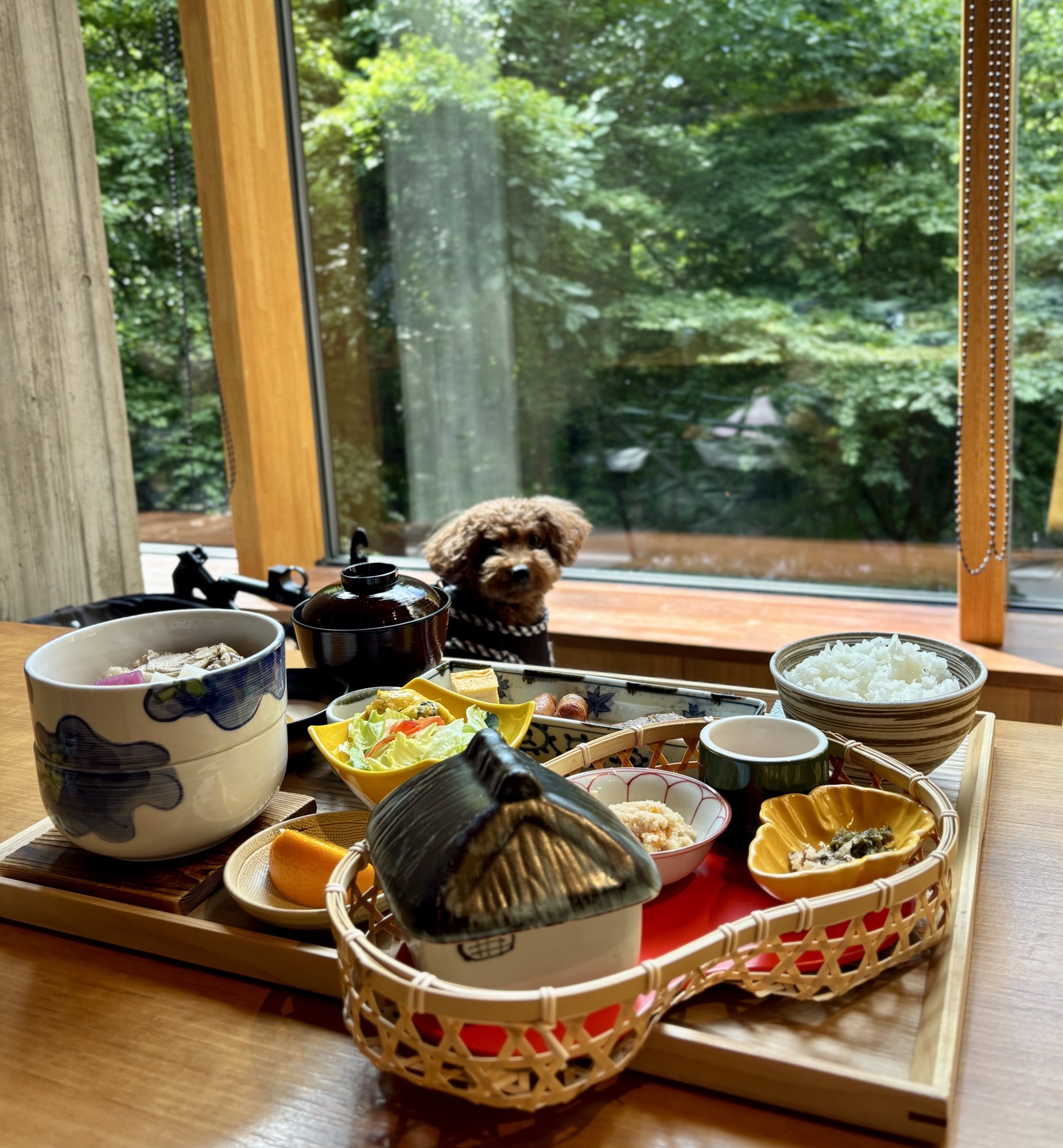 レジーナリゾート鴨川のお食事