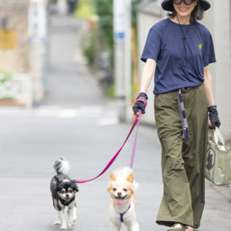 愛嬌たっぷりの2匹。「散歩中は仲よく並んで歩くんですよ」と原さん。息ぴったりに歩く姿が、なんともほほえましい兄妹です。