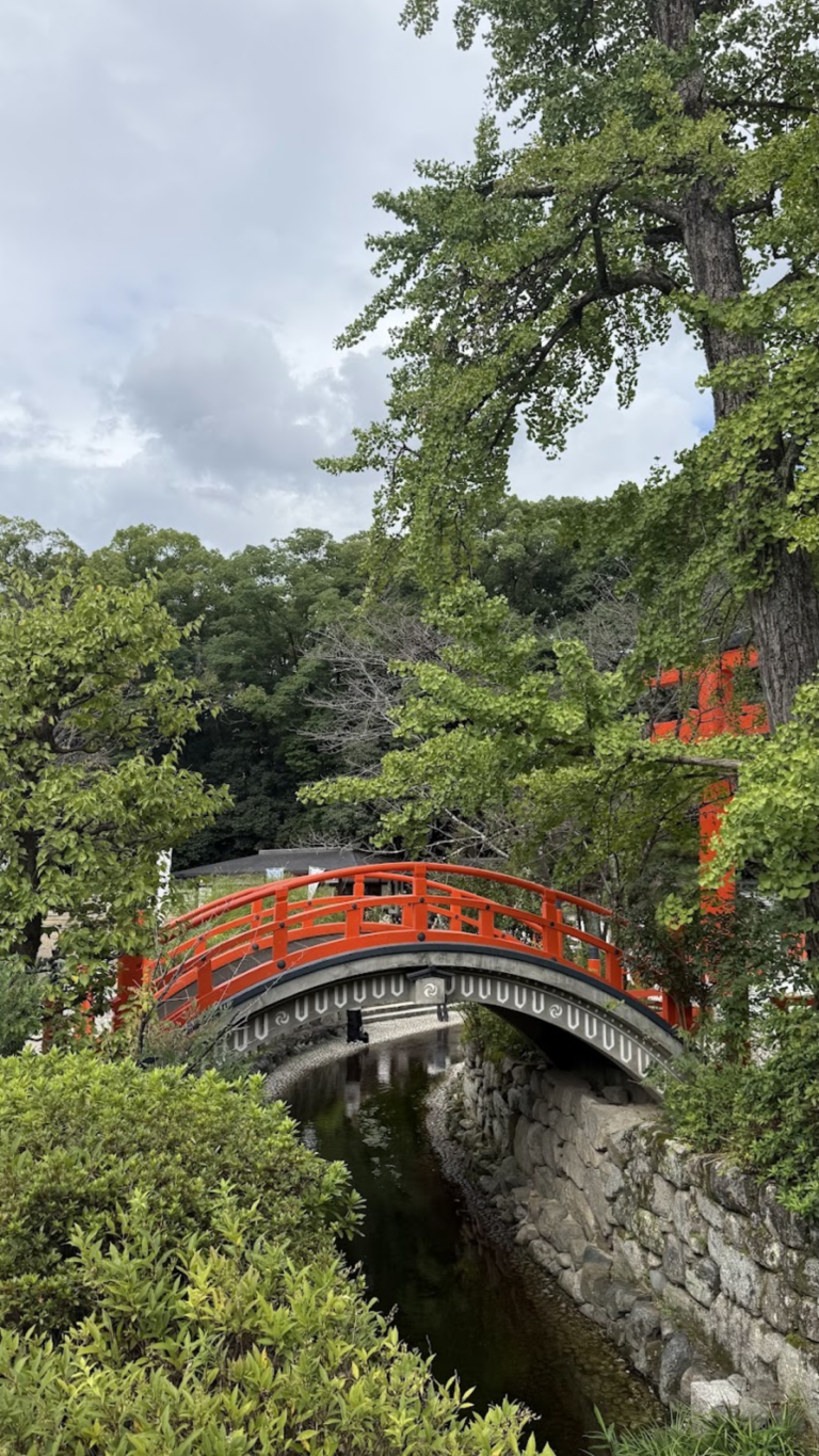 下鴨神社 御手洗池の輪橋(そりはし)