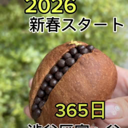 代々木八幡の人気ベーカリー「365日」のイチオシパン「クロッカンショコラ」