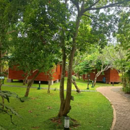 インド先生9月ブログ⑳