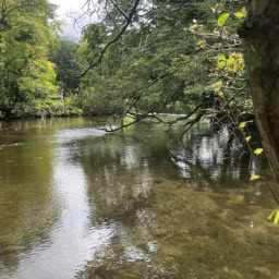 湯の湖