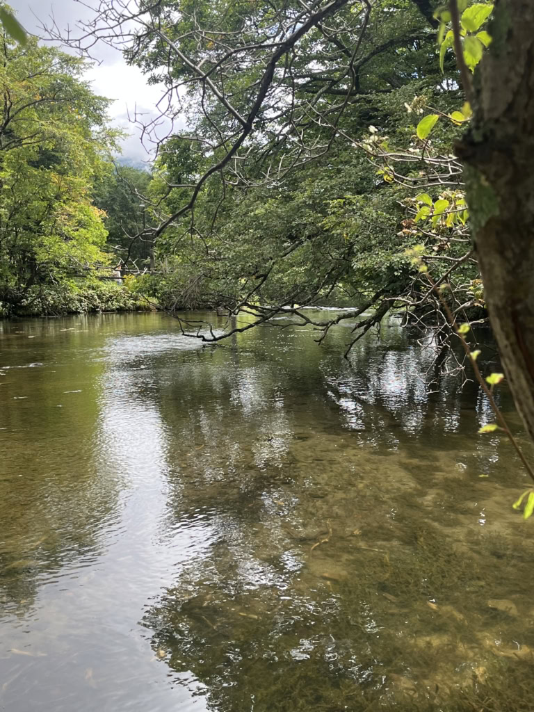 湯の湖