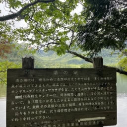 湯の湖