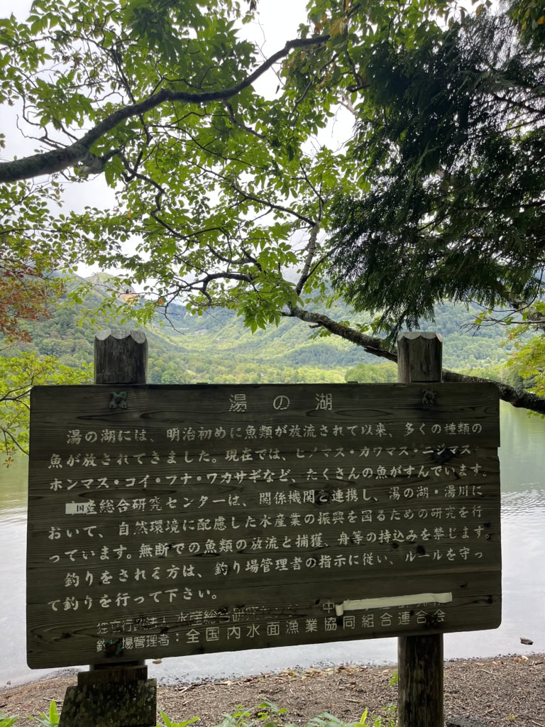 湯の湖