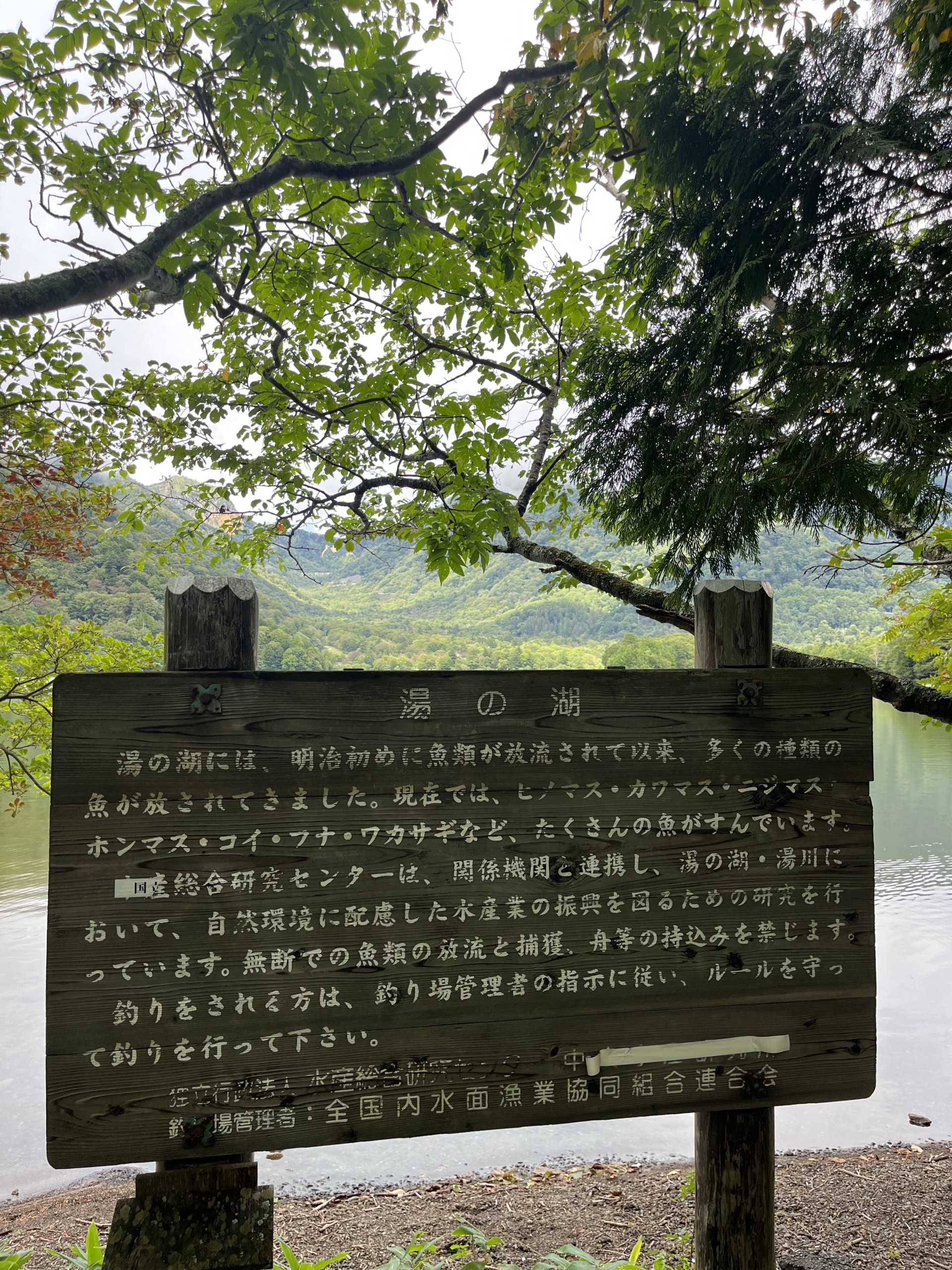 湯の湖