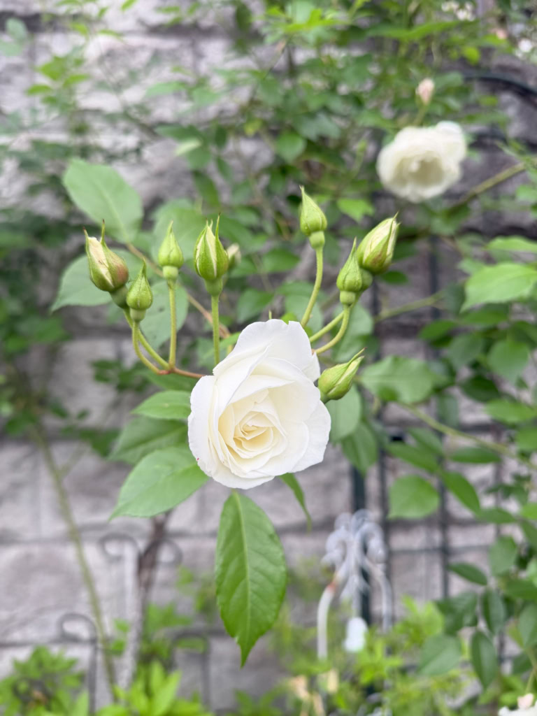 桜井さん10月ブログ③