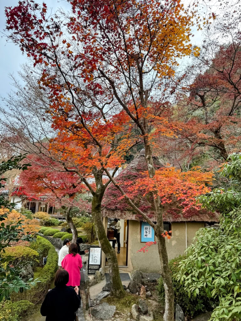 鈴虫寺(華厳寺)